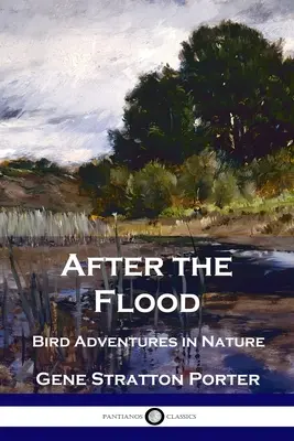 Po povodni: Vtáčie dobrodružstvá v prírode - After the Flood: Bird Adventures in Nature