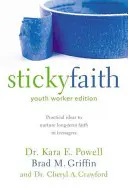 Lepkavá viera, vydanie pre pracovníkov s mládežou: Praktické nápady na pestovanie dlhodobej viery u tínedžerov - Sticky Faith, Youth Worker Edition: Practical Ideas to Nurture Long-Term Faith in Teenagers