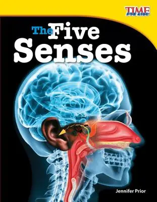 Päť zmyslov - The Five Senses