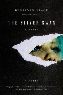 Strieborná labuť - Silver Swan