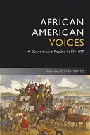 Afroamerické hlasy 4e - African American Voices 4e