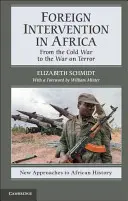 Zahraničné intervencie v Afrike: Od studenej vojny po vojnu proti terorizmu - Foreign Intervention in Africa: From the Cold War to the War on Terror