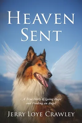 Poslané do neba: Skutočný príbeh o strate nádeje a nájdení anjela - Heaven Sent: A True Story of Losing Hope and Finding an Angel