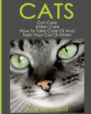 Kočky: Ako si poradiť s problémami, ktoré sa týkajú mačiek? Starostlivosť o mačky: Ako sa starať o mačku alebo mačiatko a ako ich cvičiť - Cats: Cat Care: Kitten Care: How To Take Care Of And Train Your Cat Or Kitten