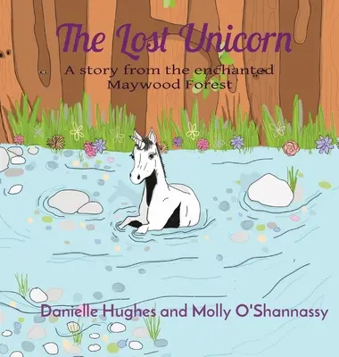 Stratený jednorožec: Príbeh z čarovného Maywoodského lesa - The Lost Unicorn: A story from the enchanted Maywood Forest