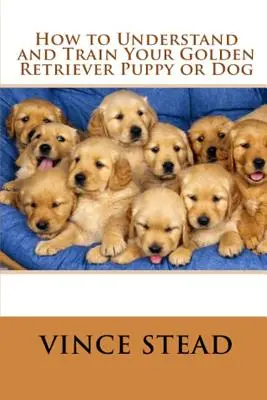 Ako pochopiť a vycvičiť šteňa alebo psa zlatého retrievera - How to Understand and Train Your Golden Retriever Puppy or Dog