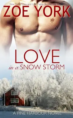 Láska v snehovej búrke - Love in a Snowstorm