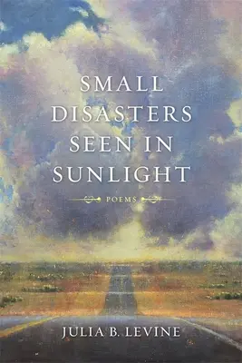 Malé katastrofy videné v slnečnom svetle - Small Disasters Seen in Sunlight