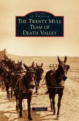 Tím dvadsiatich mulov z Údolia smrti - Twenty Mule Team of Death Valley