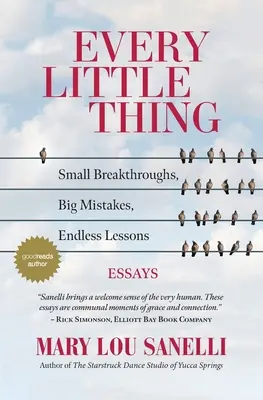 Každá maličkosť: Malé prelomy, veľké chyby, nekonečné lekcie - Every Little Thing: Small Breakthroughs, Big Mistakes, Endless Lessons