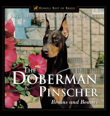 Dobrmanský pinč: Mozog a krása - The Doberman Pinscher: Brains and Beauty