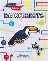 Dažďové pralesy - Rainforests