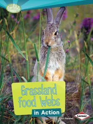 Potravné siete trávnych porastov v praxi - Grassland Food Webs in Action