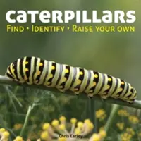 Húsenice: Húsenice: nájdi, identifikuj, vychovaj si vlastné - Caterpillars: Find, Identify, Raise Your Own