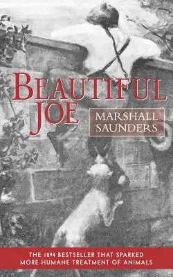 Krásny Joe (Paperback) - Beautiful Joe (Paperback)