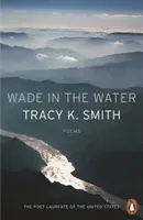 Brodiť sa vo vode - Wade in the Water