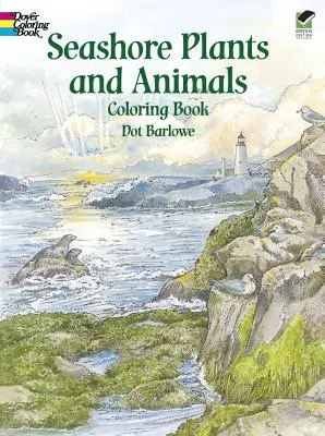 Omaľovánky rastlín a živočíchov morského pobrežia - Seashore Plants and Animals Coloring Book