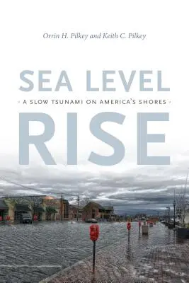 Zvyšovanie hladiny morí: Pomalé cunami na americkom pobreží - Sea Level Rise: A Slow Tsunami on America's Shores