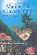 Morské ryby a bezstavovce severnej Európy - Marine Fish & Invertebrates of Northern Europe