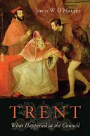 Trent: Čo sa stalo v Rade - Trent: What Happened at the Council