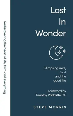 Stratené v zázraku: (Rediscovering Faith Life And Everything) - Lost in Wonder: Glimpsing Awe, God and the Good Life (Rediscovering Faith Life And Everything)