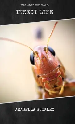Život hmyzu - Insect Life