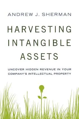 Zber nehmotného majetku: Odhaľte skryté príjmy z duševného vlastníctva vašej spoločnosti - Harvesting Intangible Assets: Uncover Hidden Revenue in Your Company's Intellectual Property