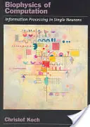 Biofyzika výpočtov: Spracovanie informácií v jednotlivých neurónoch - Biophysics of Computation: Information Processing in Single Neurons