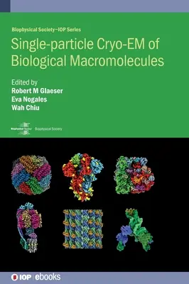 Jednočasticová kryoEM biologických makromolekúl - Single-particle Cryo-EM of Biological Macromolecules