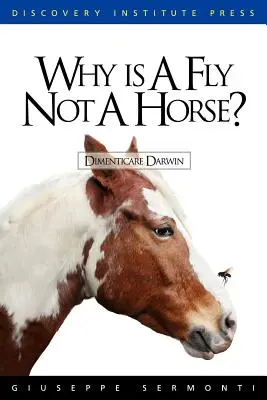 Prečo mucha nie je kôň? - Why is a Fly Not a Horse?