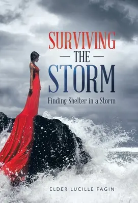 Prežiť búrku: Hľadanie útočiska v búrke - Surviving the Storm: Finding Shelter in a Storm