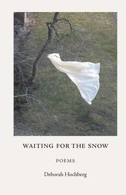Čakanie na sneh: Básne - Waiting for the Snow: Poems