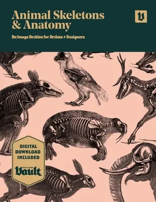 Kostry a anatómia zvierat: Archív obrázkov pre umelcov a dizajnérov - Animal Skeletons and Anatomy: An Image Archive for Artists and Designers