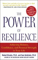 Sila odolnosti: Sila odolnosti: Dosiahnutie rovnováhy, sebadôvery a osobnej sily vo vašom živote - The Power of Resilience: Achieving Balance, Confidence, and Personal Strength in Your Life
