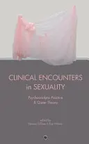 Klinické stretnutia v oblasti sexuality: Psychoanalytická prax a queer teória - Clinical Encounters in Sexuality: Psychoanalytic Practice and Queer Theory