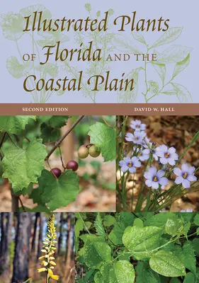 Ilustrované rastliny Floridy a pobrežnej nížiny - Illustrated Plants of Florida and the Coastal Plain