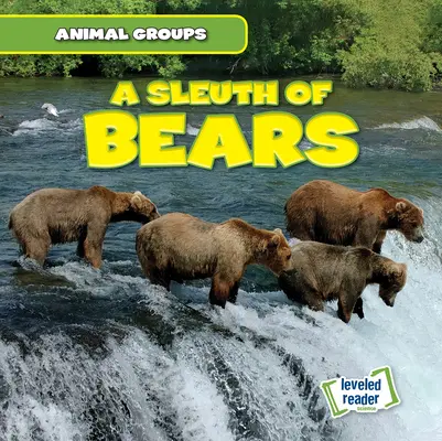 Medvedia sánka - A Sleuth of Bears