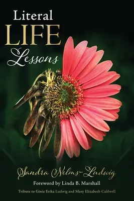 Doslovné lekcie života - Literal LIFE Lessons