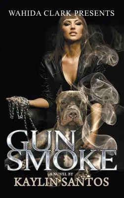 Dym zo zbraní - Gun Smoke