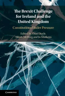 Výzva brexitu pre Írsko a Spojené kráľovstvo - The Brexit Challenge for Ireland and the United Kingdom