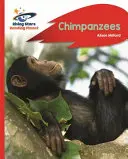 Reading Planet - Šimpanzy - Red B: Rocket Phonics - Reading Planet - Chimpanzees - Red B: Rocket Phonics