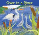 Nad riekou: Ako sa mláďatá dostávajú do mora - Over in a River: Flowing Out to the Sea