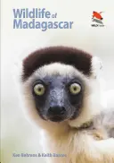 Divoká príroda Madagaskaru - Wildlife of Madagascar