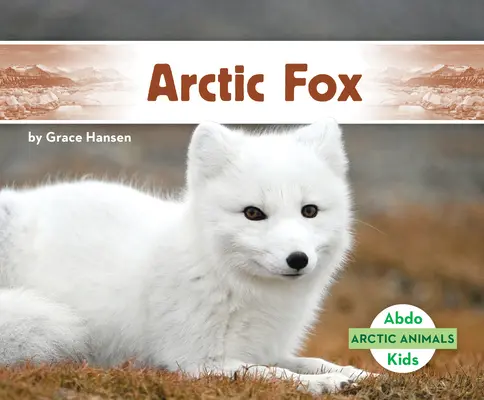 Líška polárna - Arctic Fox