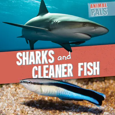 Žraloky a čistejšie ryby - Sharks and Cleaner Fish