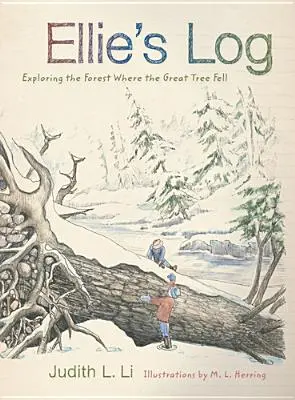 Ellieho denník: Výskum lesa, v ktorom padol veľký strom - Ellie's Log: Exploring the Forest Where the Great Tree Fell