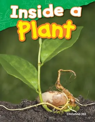 Vnútri rastliny - Inside a Plant
