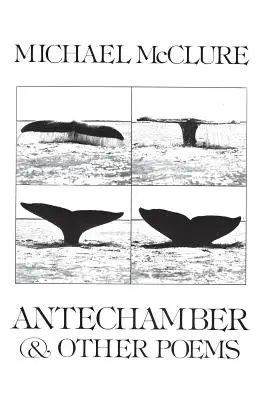 Predsieň: A iné básne - Antechamber: And Other Poems