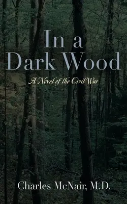 V tmavom lese - In a Dark Wood