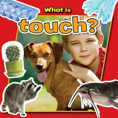 Čo je dotyk? - What Is Touch?